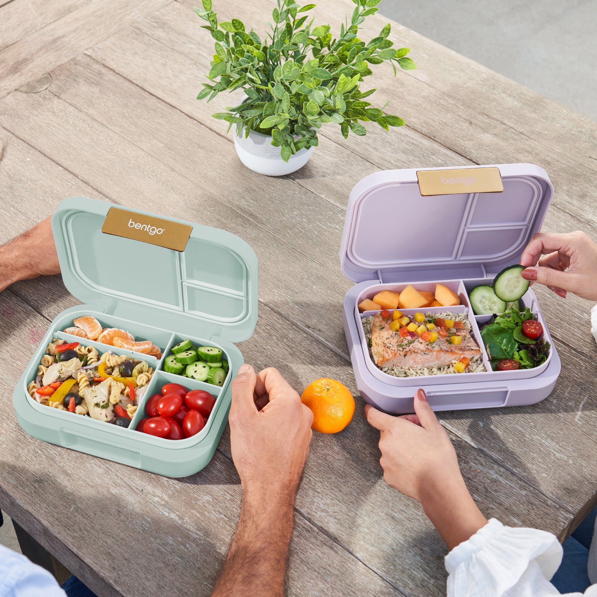 bentgo-modern-lunch-box-2-pack-s6 COSTCOBMCPRODUCTIMAGE_2.jpg